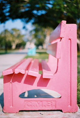 Pink by Andrea Ivancic