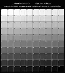 100-Step Tonal Palette